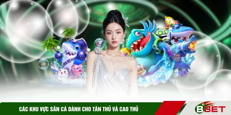 Các khu vực săn cá dành cho tân thủ và cao thủ