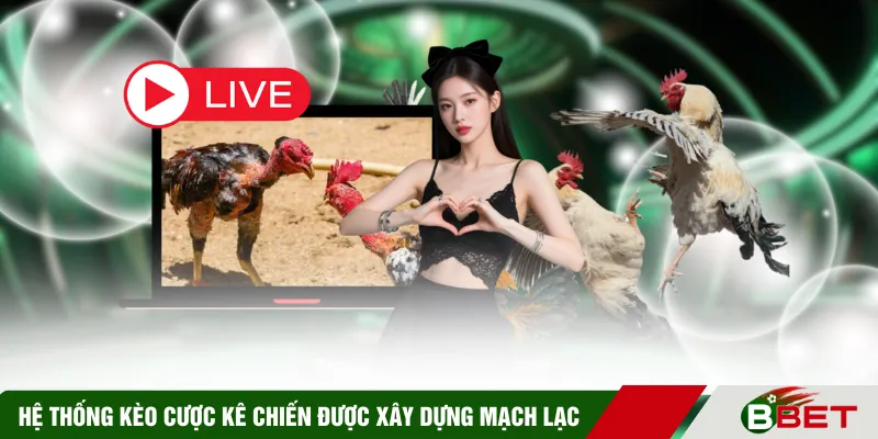 Hệ thống kèo cược kê chiến được xây dựng mạch lạc