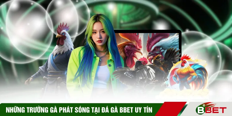 Những trường gà phát sóng tại đá gà BBET uy tín